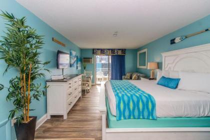 Holiday Home in Myrtle Beach 51311 - image 1